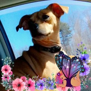 Meet your Posher, Michelle